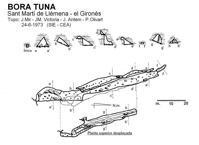 topo 0: Bora Tuna