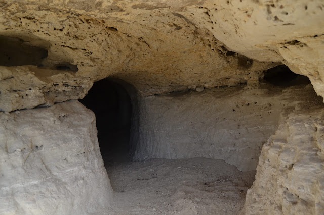 foto 3: Cova dels Mongons