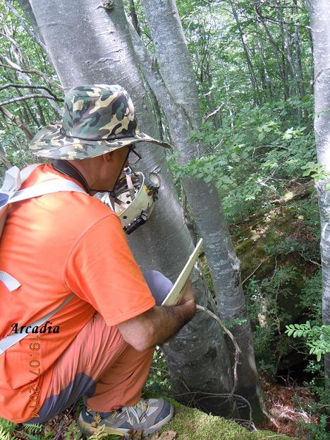 foto 0: Avenc de Can Roca Roja Nº1