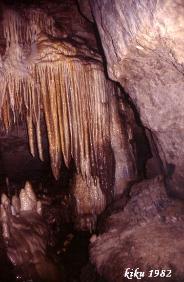 foto 6: Cova del Serrat del Vent