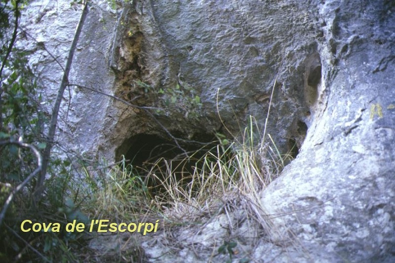 foto 1: Cova de l'Escorpí