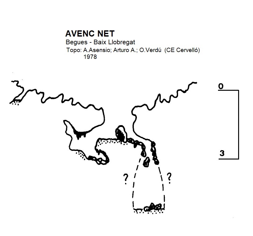 topo 1: Avenc Net