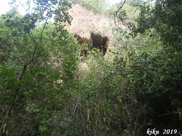 foto 0: Cova de les Tosques del Glorieta