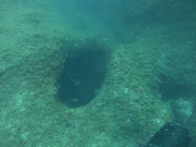 foto 0: Cova Submarina de la Punta Grossa