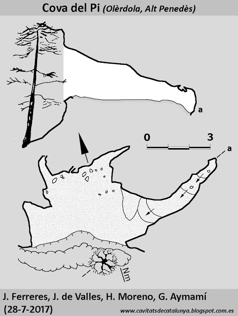 topo 0: Cova del Pi