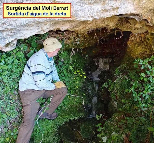 foto 2: Surgència del Molí Bernat