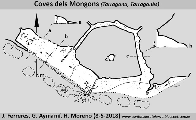 topo 0: Cova dels Mongons