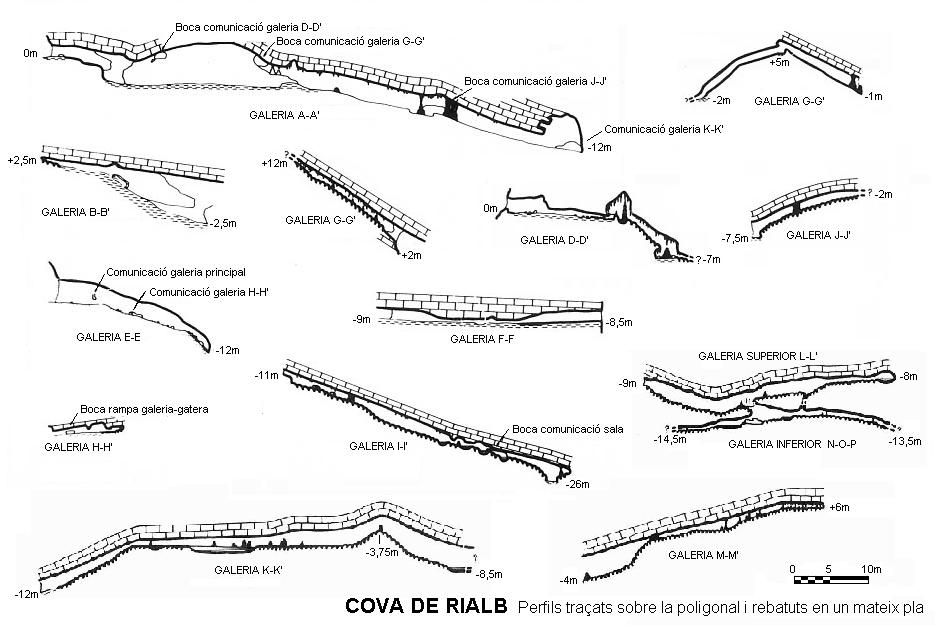 topo 1: Cova de Rialb