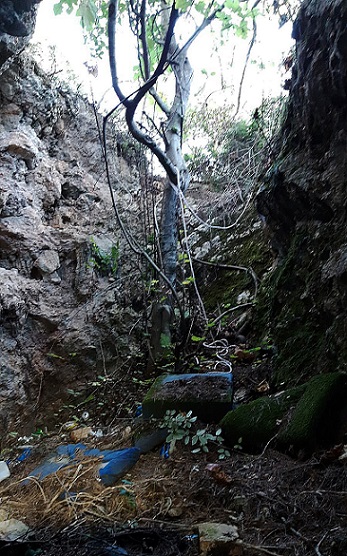 foto 6: Avencó del Pont del Lledoner