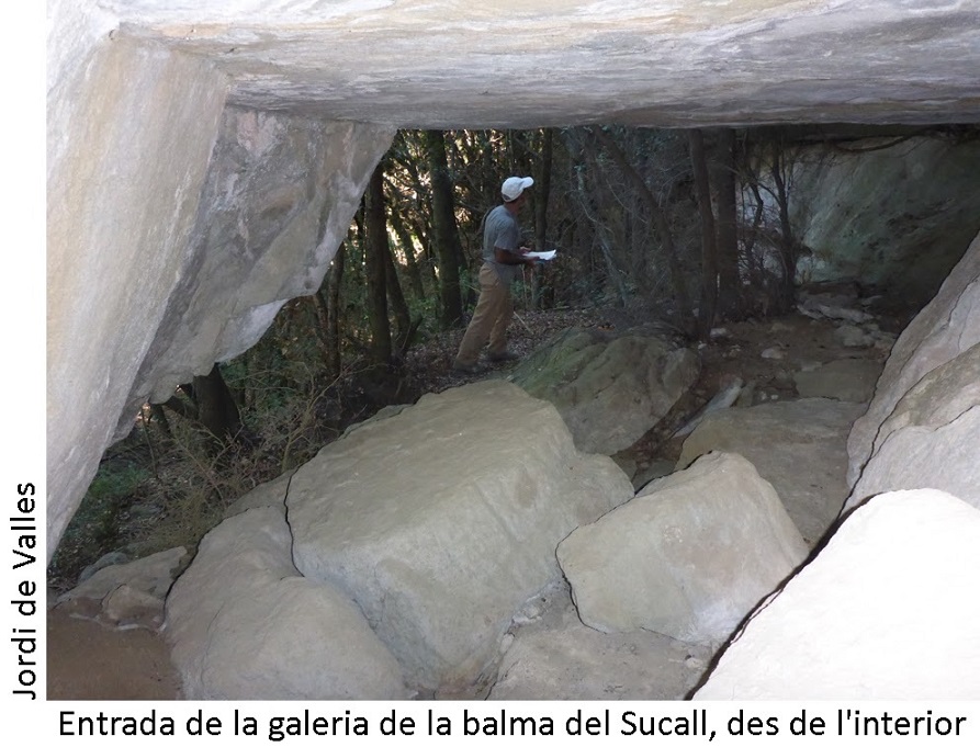 foto 2: Balma del Secall