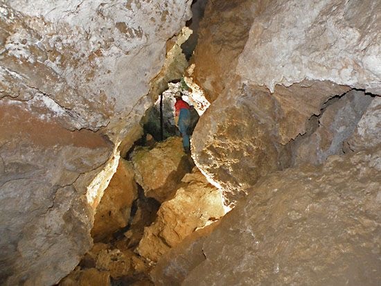 foto 6: Coves del Mamut