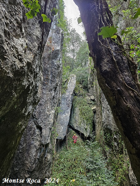 Фото Fou de Balet
