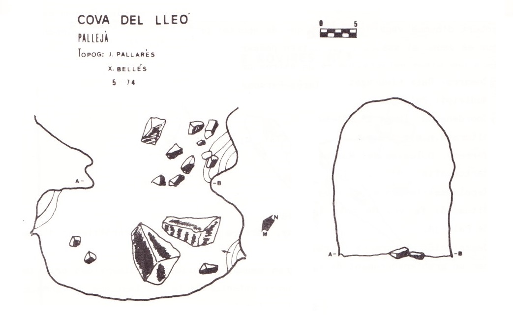 topo 1: Cova del Lleó