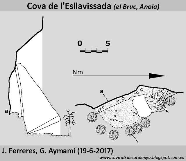 topo 0: Cova de l'Esllavissada