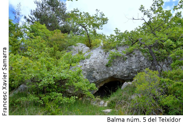 foto 4: Balmes del Teixidor