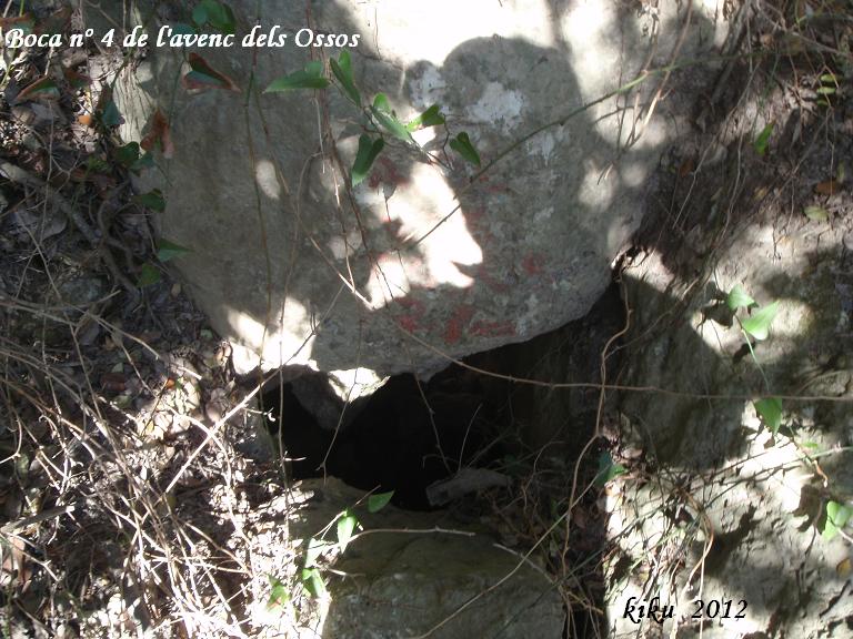 foto 4: Avenc dels Ossos