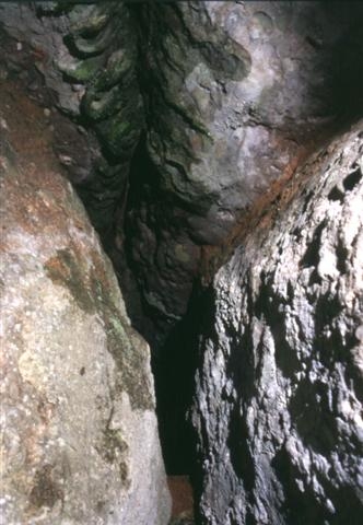 foto 0: Cova de Castellassa del Dalmau