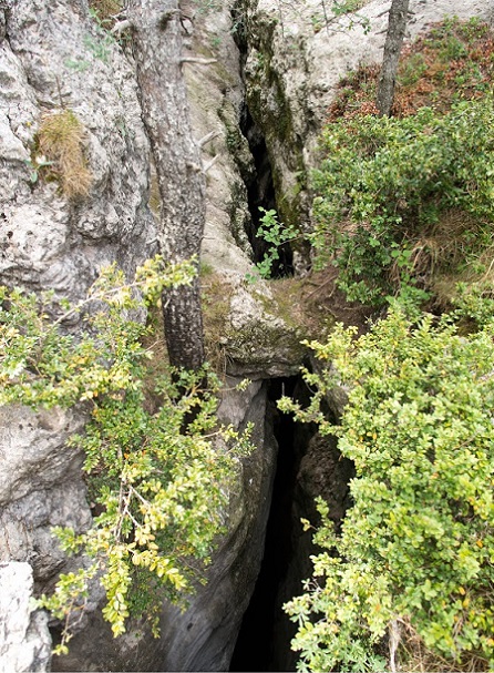 foto 7: Esquerdes de Palomera