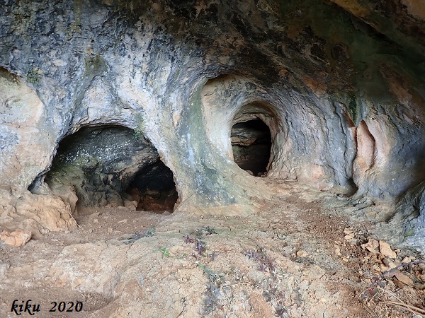 foto 3: Cova del Bosquet