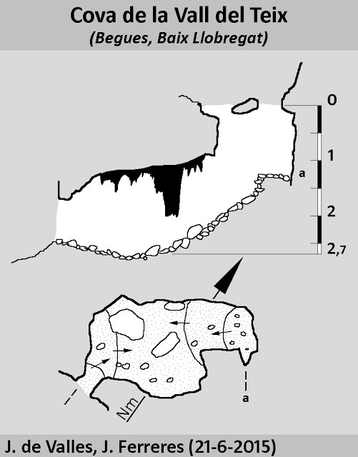 topo 0: Cova de la Vall del Teix