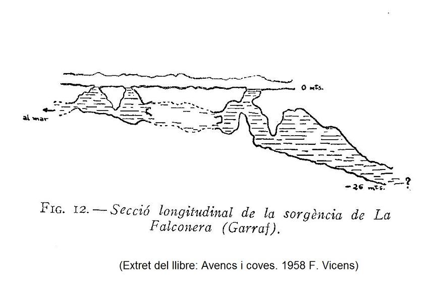 Topográficos la Falconera
