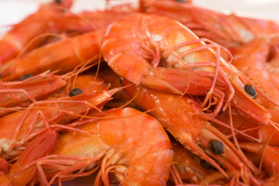 eSupplements.com chitosan eSupplements.com chitosan