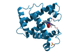HGH Molecule HGH Molecule