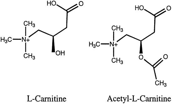 l-carnitine of composition 2019 Carnitine Supplements of Best L