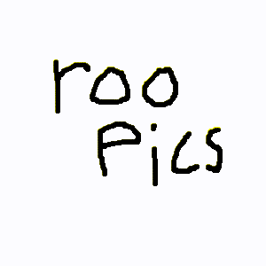 RooPics showcase
