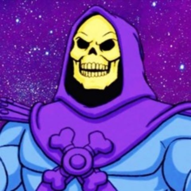 skeletor spaceman