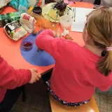 Image de l'activité 2