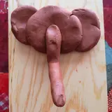 Image de l'activité 3