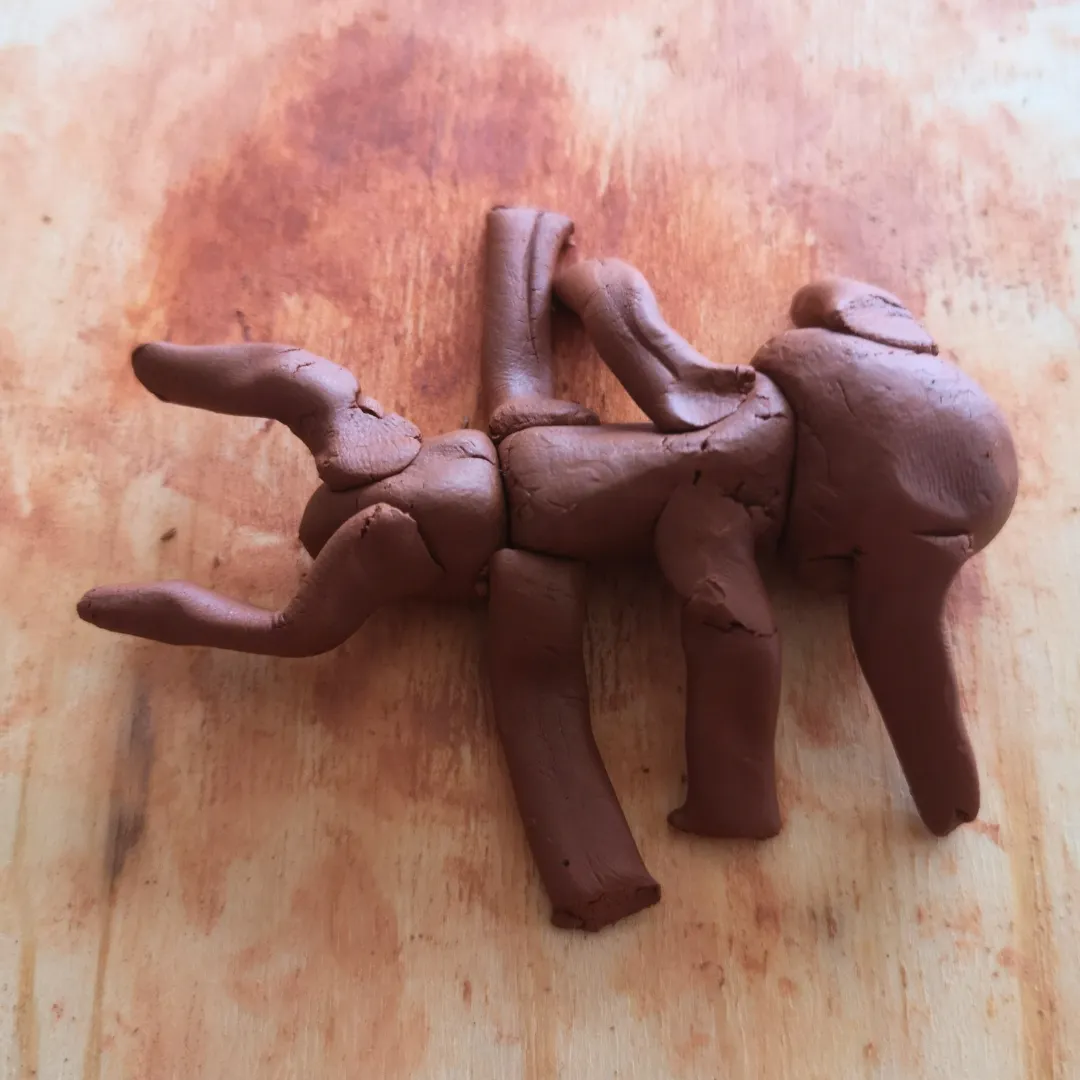Image de l'activité 1