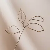 Image de l'activité 4