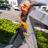 Image de l'activité 1
