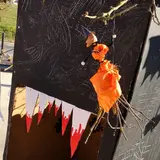 Image de l'activité 4