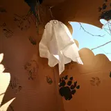 Image de l'activité 5