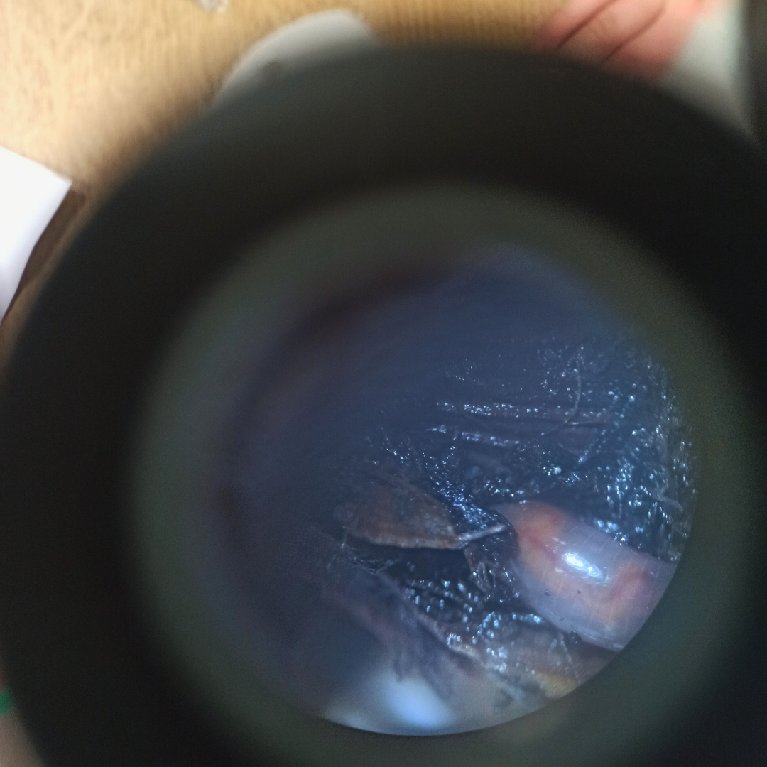 Image de l'activité 3