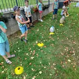 Image de l'activité 4
