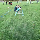 Image de l'activité 7
