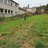 Image de l'activité 3