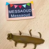 Image de l'activité 5