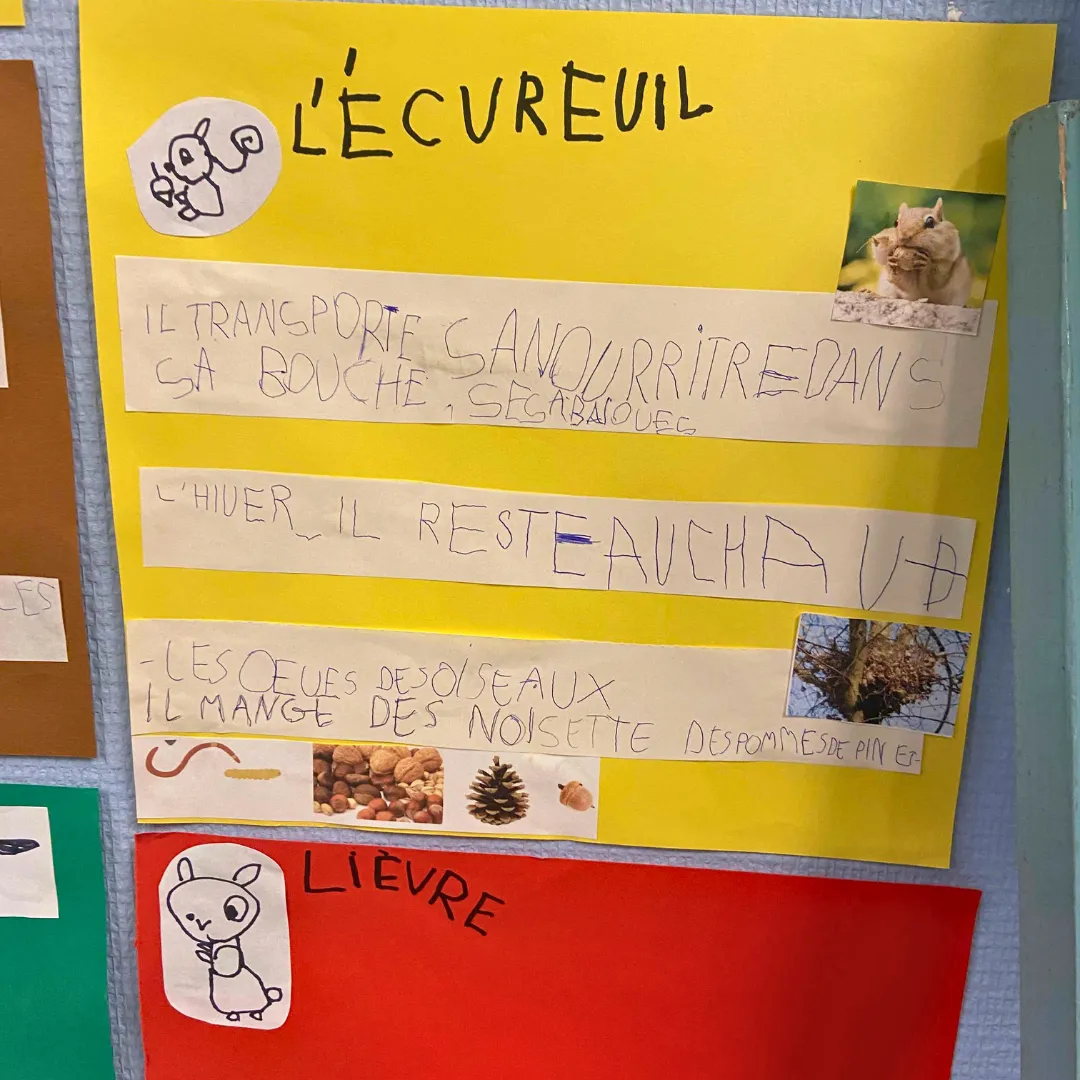 Image de l'activité 1