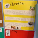 Image de l'activité 1