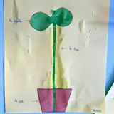 Image de l'activité 1