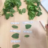 Image de l'activité 2