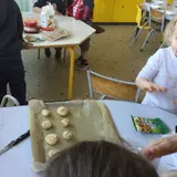Image de l'activité 5