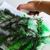 Image de l'activité 4