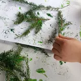 Image de l'activité 5