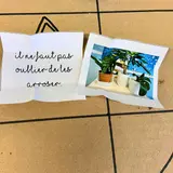 Image de l'activité 4
